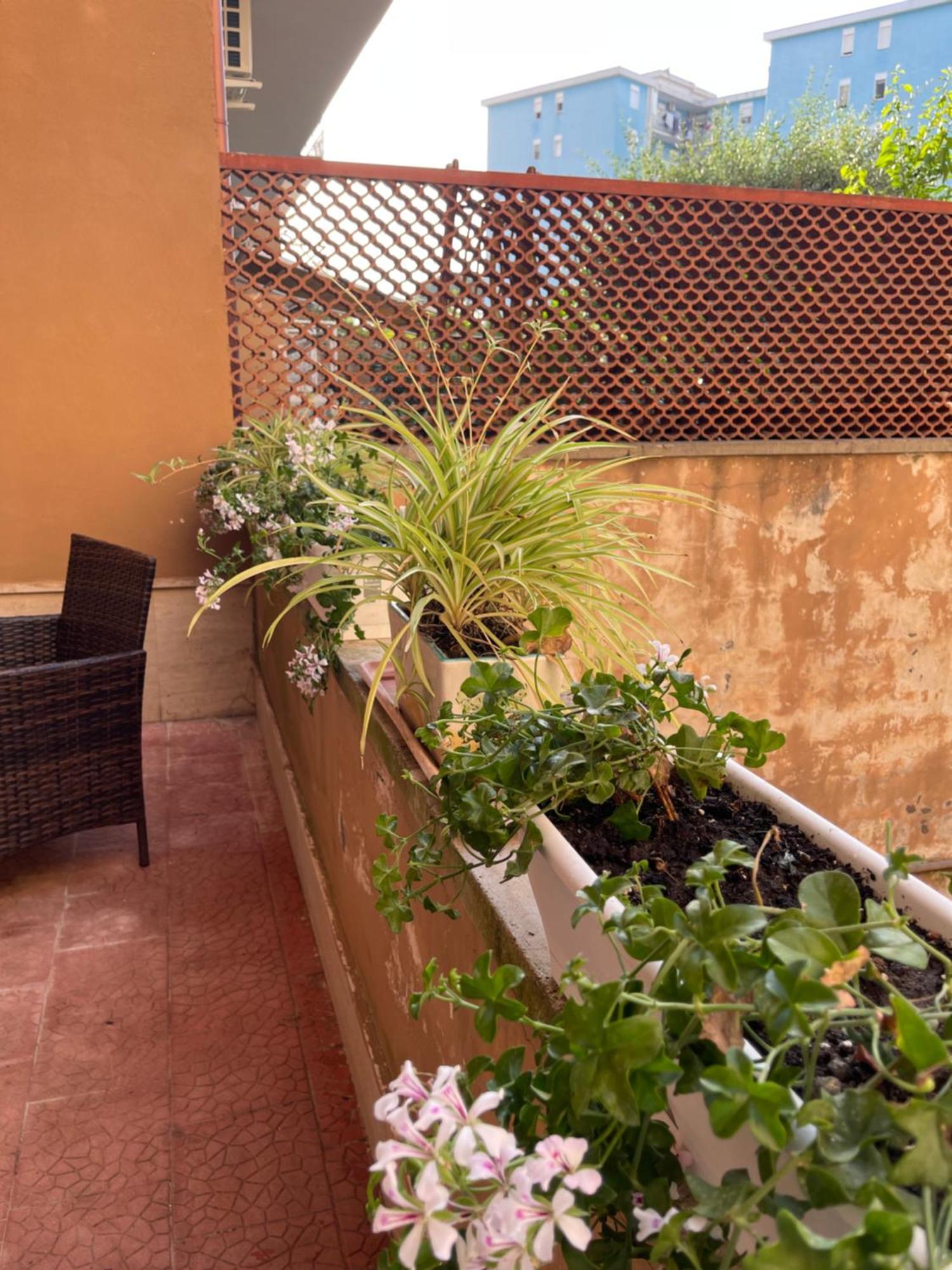 Oleander Apartment Castellammare di Stabia Luaran gambar